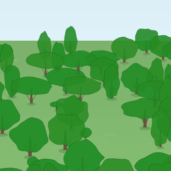 PrettyForest